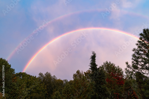 Double rainbow above forest with blue sky after the rain. Colorful clouds.