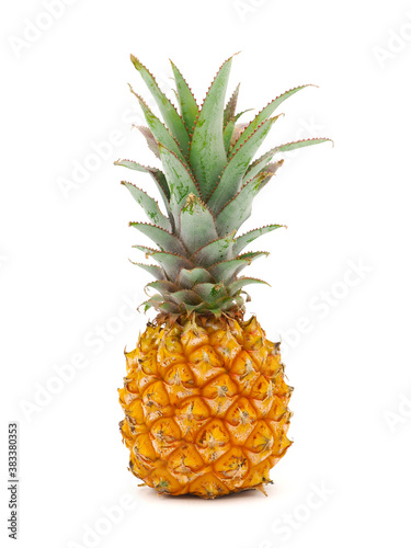 Baby Pineapple fruit isolated on white background