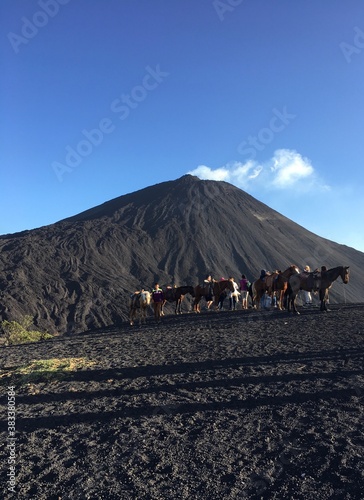 horses in front of a volcano