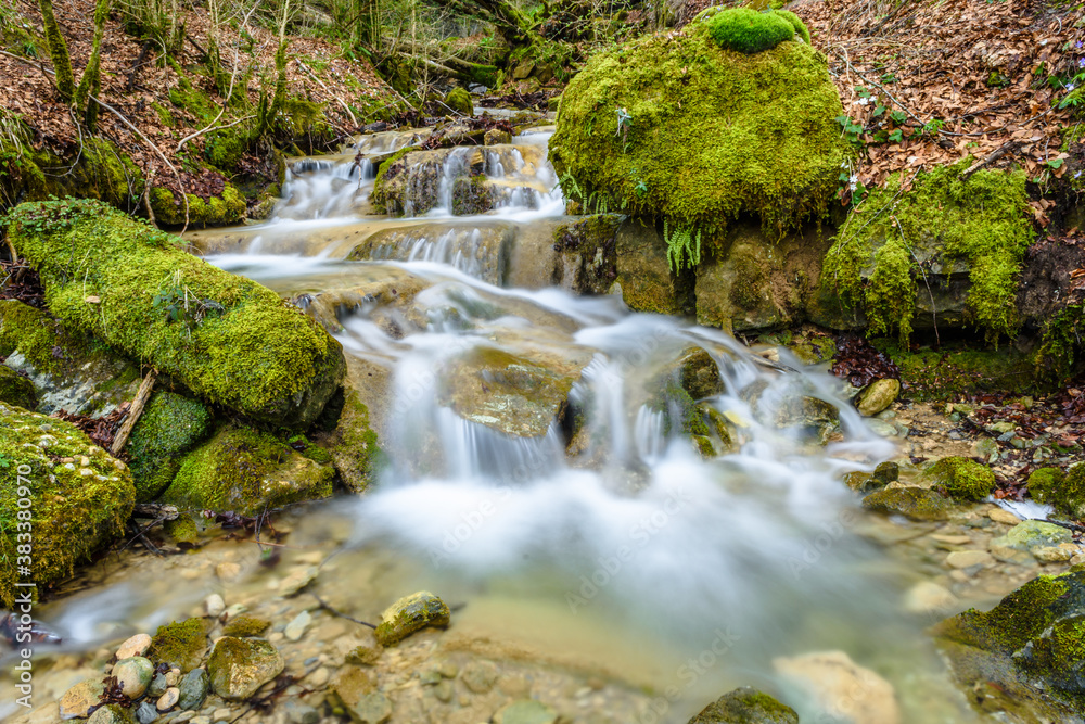 Stream in the forest (Catalonia, Vallfogona de Ripolles, Spain)