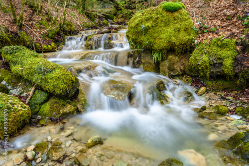 Fototapeta Naklejka Na Ścianę i Meble -  Stream in the forest (Catalonia, Vallfogona de Ripolles, Spain)