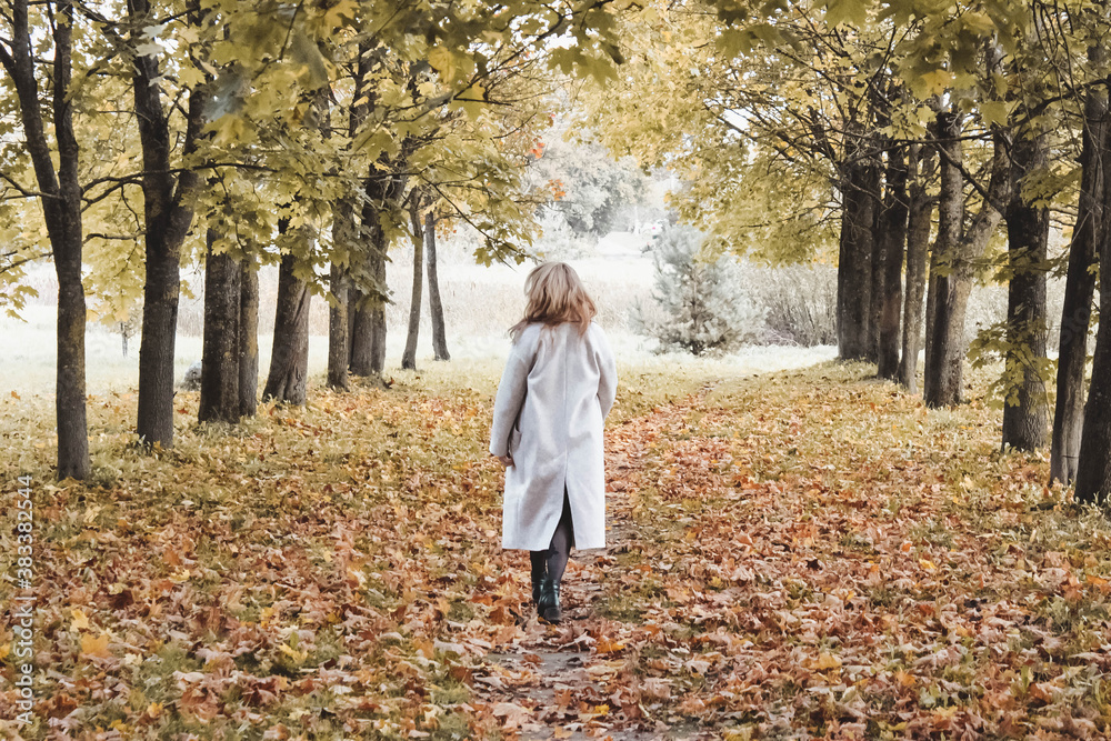 A woman in a coat walks in an autumn park along a path between trees. The woman walks away with her back turned. Gold autumn. A woman in a coat walks in an autumn park along a path between trees. The woman walks away with her back turned. Gold autumn.