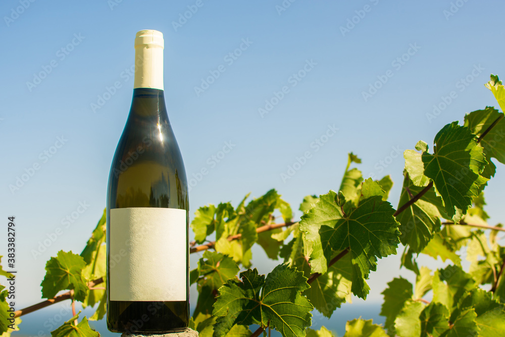 Wine bottle on nature background