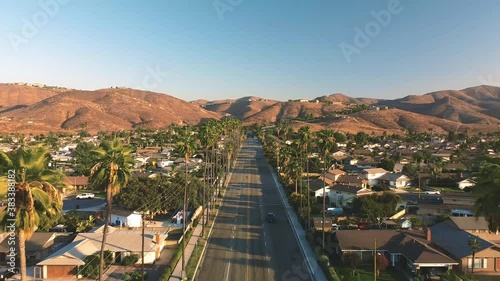 Aerial view of cityscape with palm trees
