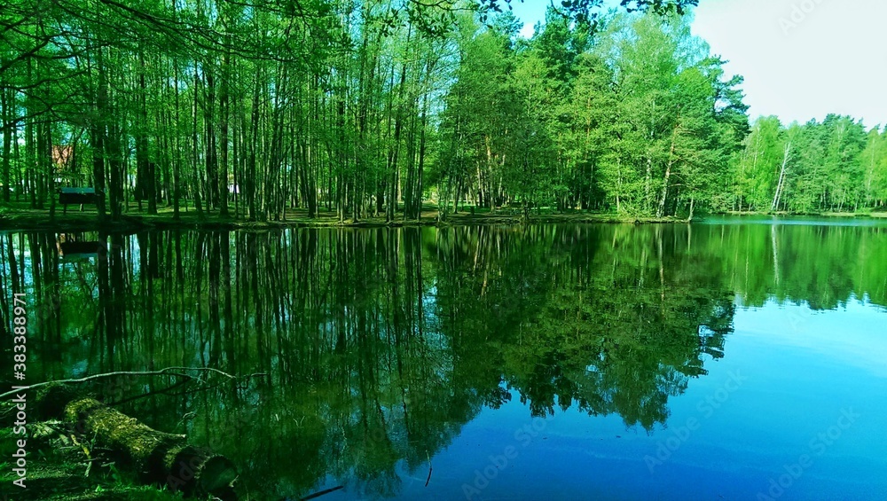 reflection in water reflection in water