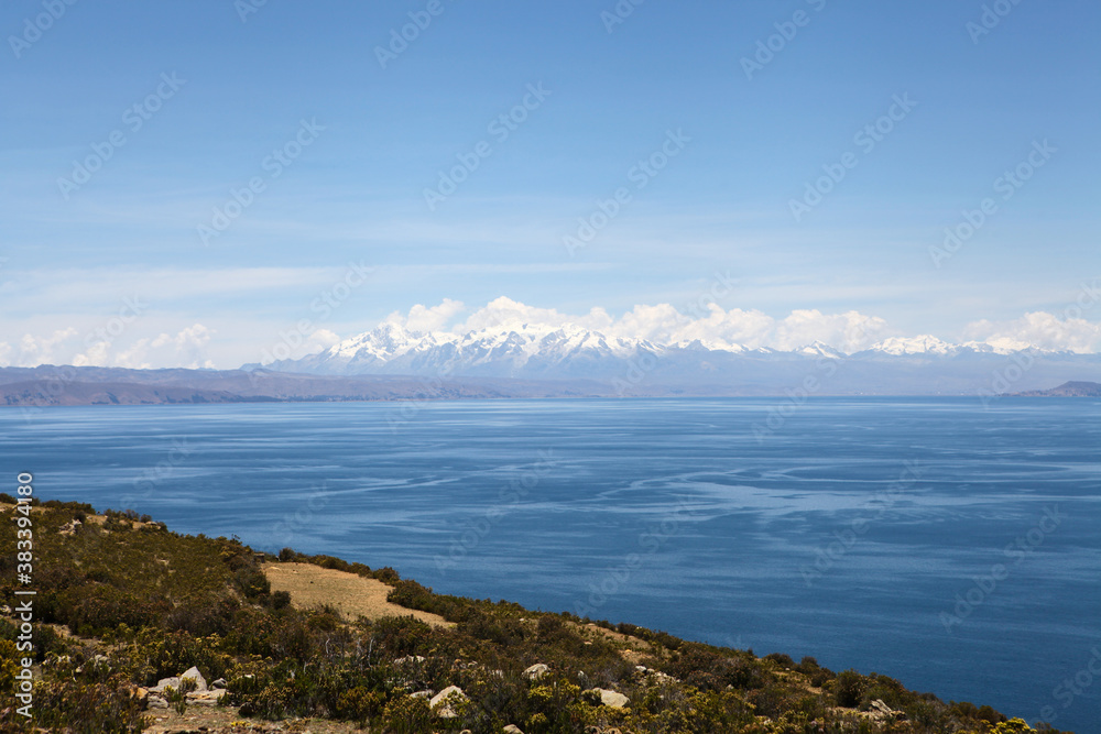 Trees on Isla Del Sol in Lake Titicaca with mountains in the distance