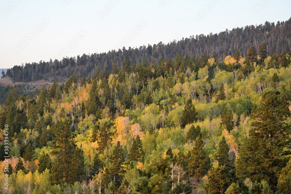 Mountain Full of Autumn Colors