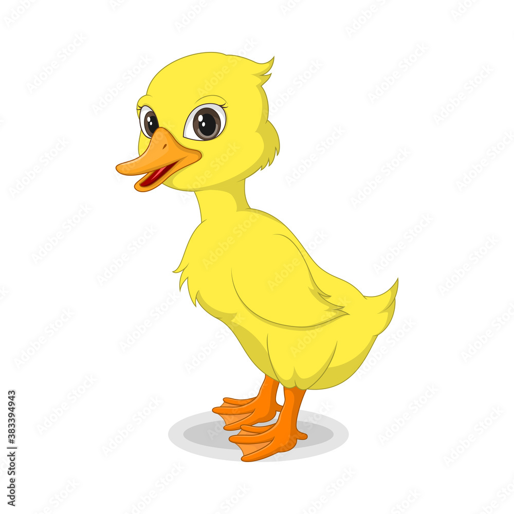 Fototapeta premium Cute baby duckling isolated on white background
