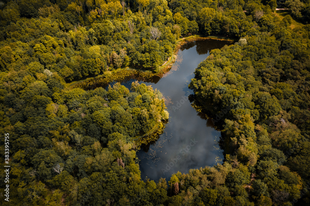 Drone shot of forest and lake