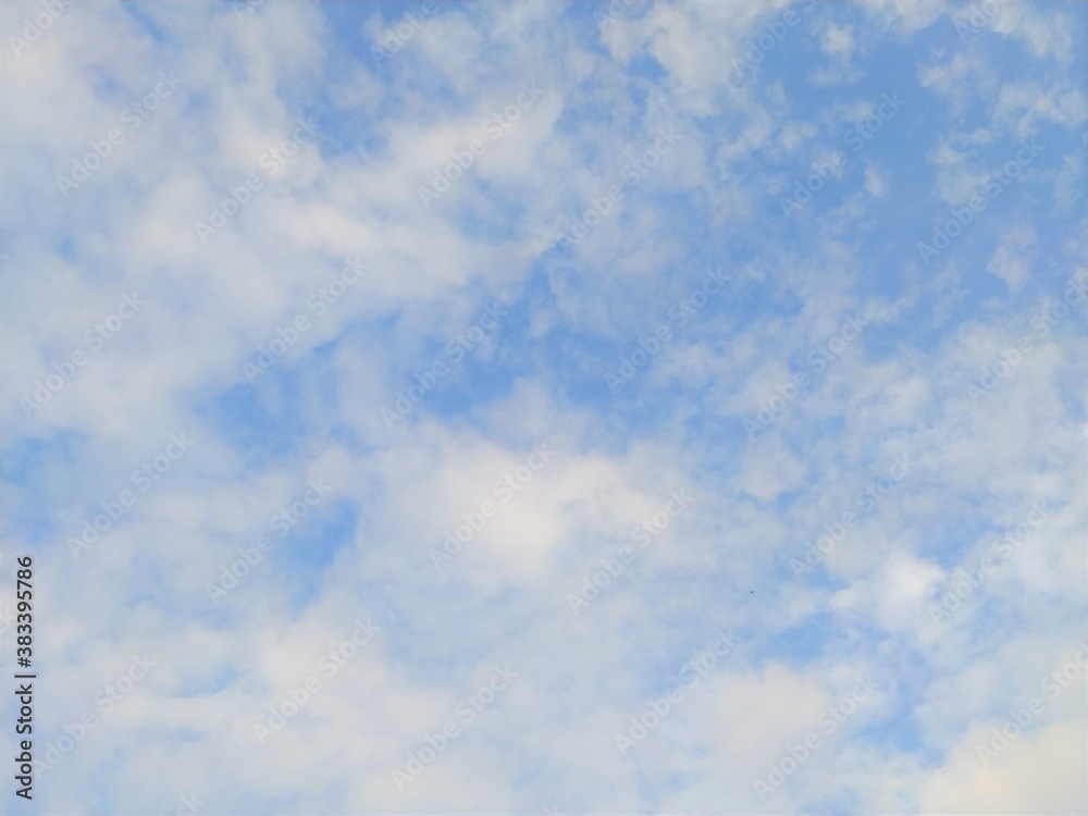 Obraz premium 秋 鰯雲 鱗雲