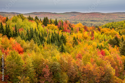 Fall colors blooming at it's finest, 