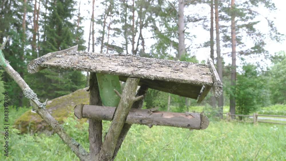 32431_The_dirty_roof_of_the_small_bird_house_.mov 32431_The_dirty_roof_of_the_small_bird_house_.mov