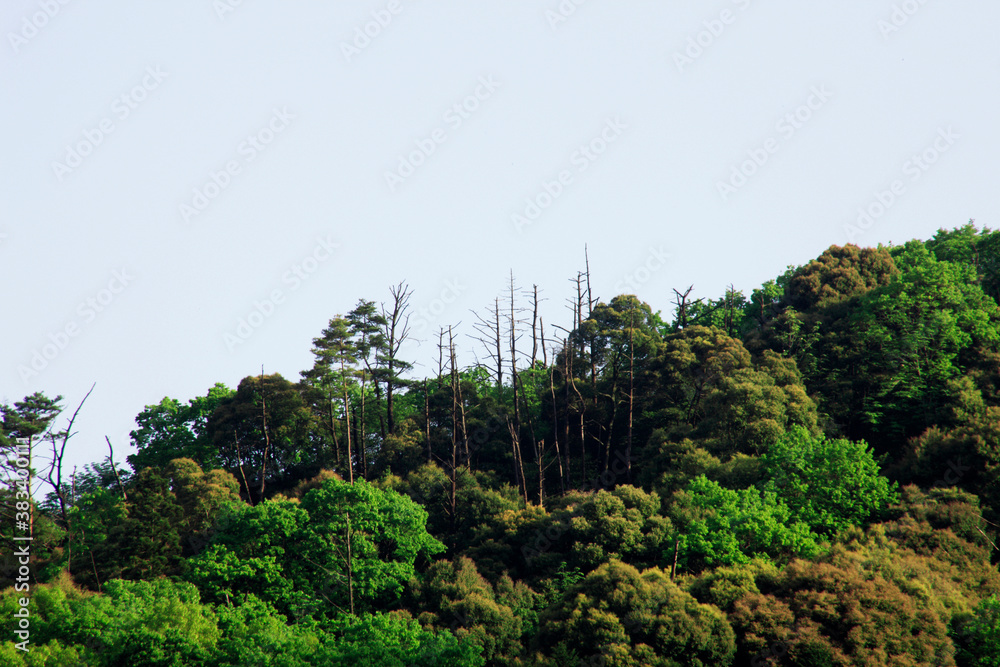 Obraz premium 山並み