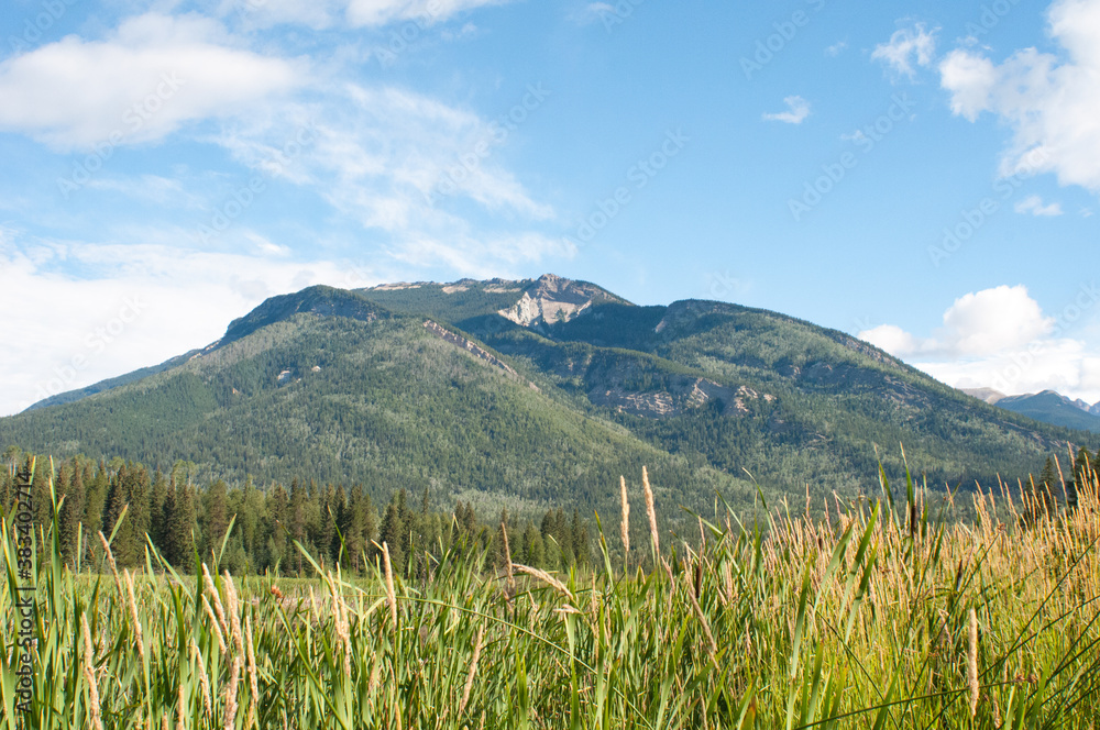 Fototapeta premium Landscape scenes with beautiful views