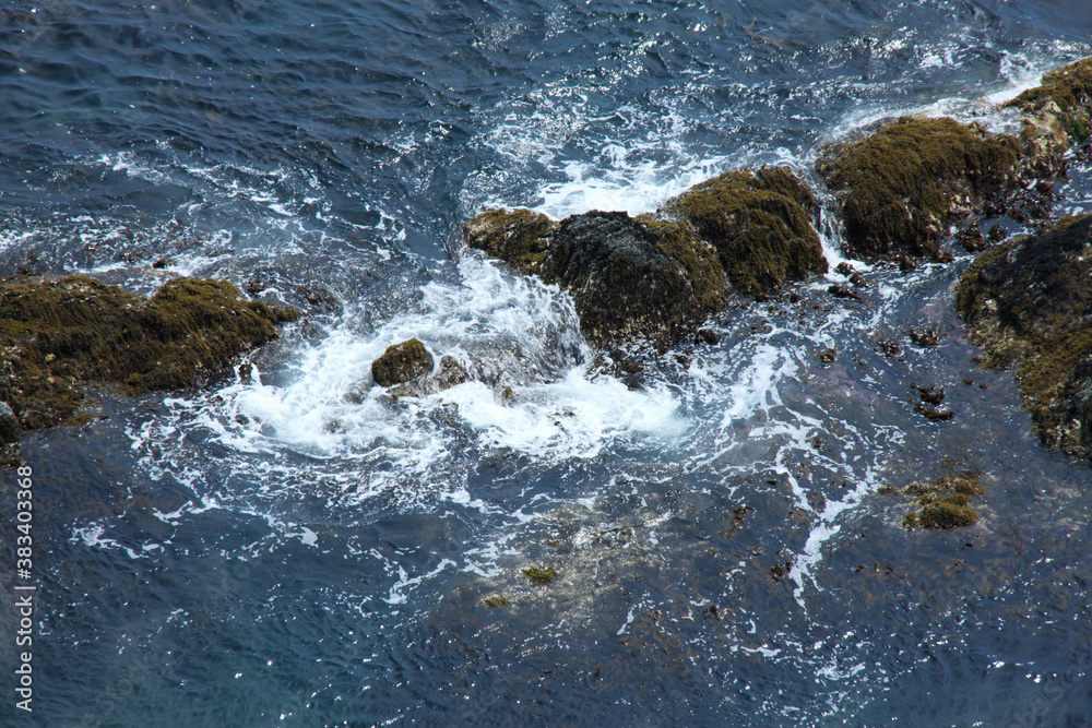 Fototapeta premium 海岸