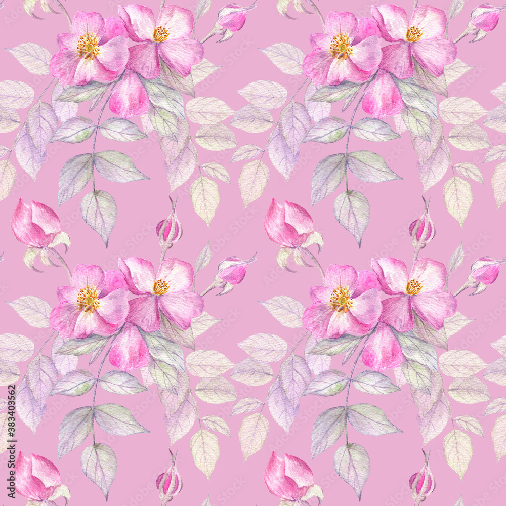 Beautiful seamless pattern with gentle roses and leaves on a pink background. Watercolor botanical illustration. Beautiful seamless pattern with gentle roses and leaves on a pink background. Watercolor botanical illustration.