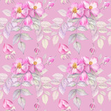 Beautiful seamless pattern with gentle roses and leaves on a pink background. Watercolor botanical illustration. 