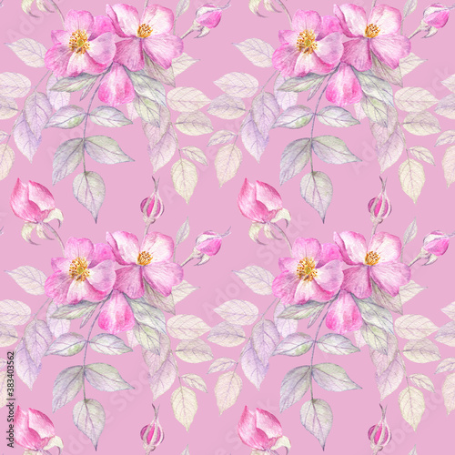 Beautiful seamless pattern with gentle roses and leaves on a pink background. Watercolor botanical illustration. 