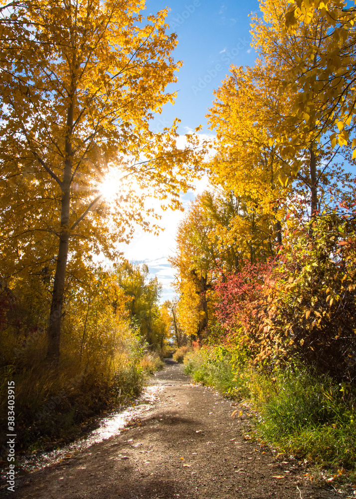Naklejka premium Landscape scenes with beautiful views