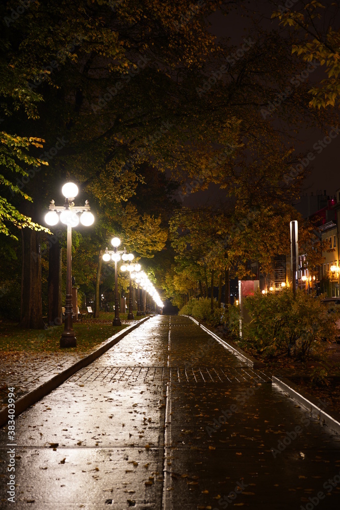 Empty Rainy Autumn Street in Quebec City