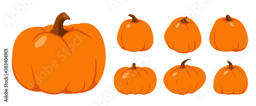 Set of Autumn pumpkin flat icon. Ripe vegetable squash. Cartoon different shape orange gourd. Symbol Thanksgiving and Halloween. Gather farm harvest, season crop capacity Isolated vector illustration