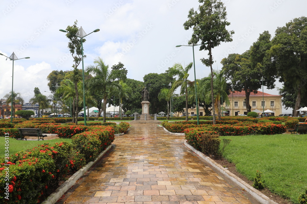 Fototapeta premium garden in the park