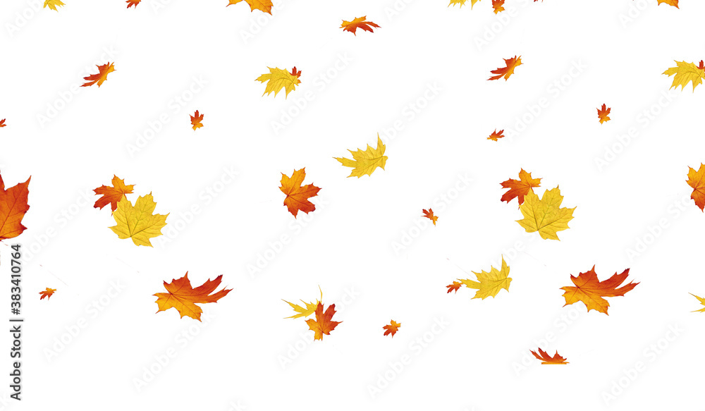 autumn leaves rain background white autumn leaves rain background white