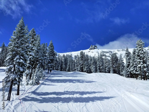 Scenic winter landscape scene at a ski resort, with wide open runs, snow covered trees and deep blue skies