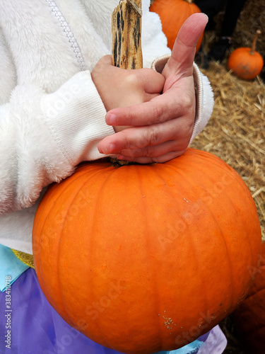 Small Child's Hands Holding a Bright Orange Pumpkin Possibly on a Hayride or at a Pumpkin Patch in the Fall or Autumn Season for Halloween