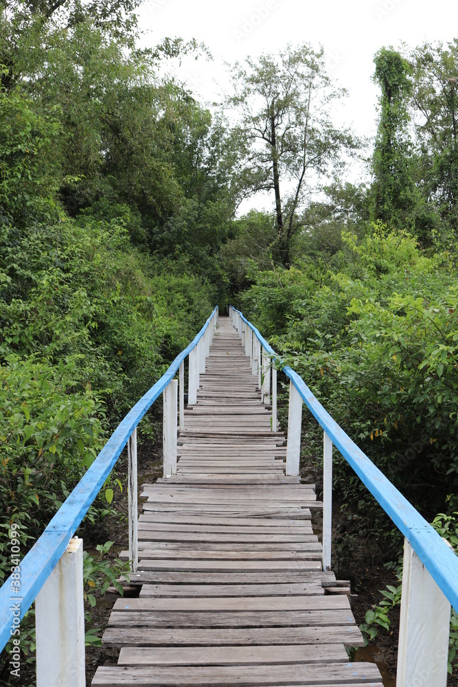 wooden bridge in the woods wooden bridge in the woods