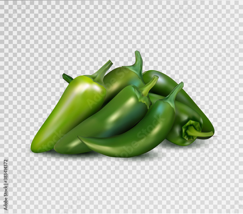 Hot green pepper on transparent background. Jalapeno groupe. Quality realistic vector, 3d illustration.