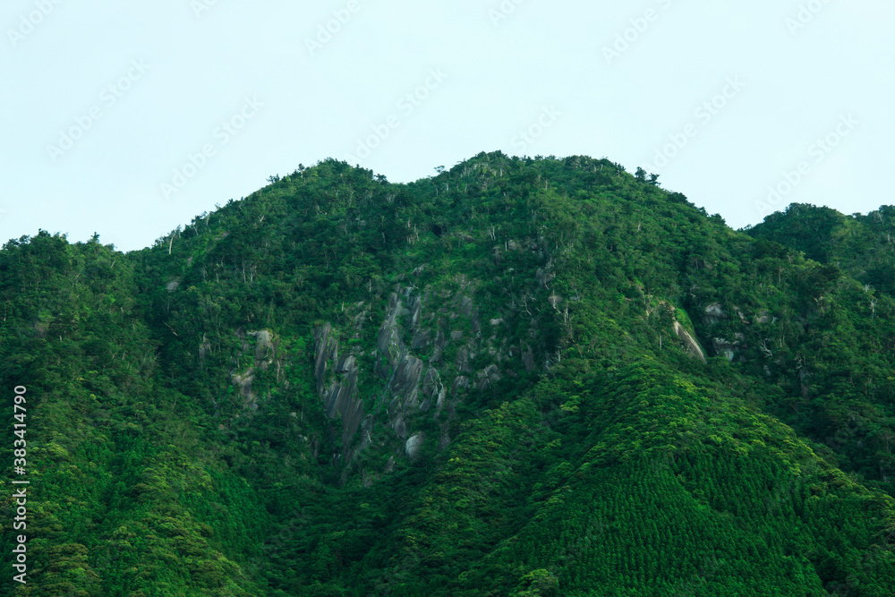 屋久島の山