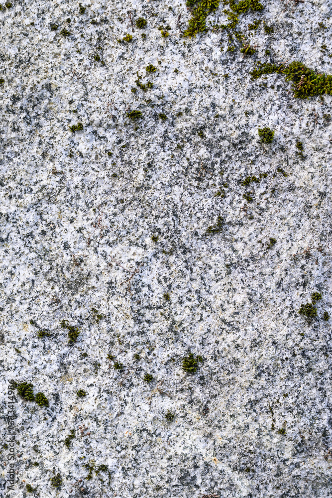 Closeup of gray textured stone with green moss and lichen growing on it, as a nature background
Closeup of gray textured stone with green moss and lichen growing on it, as a nature background