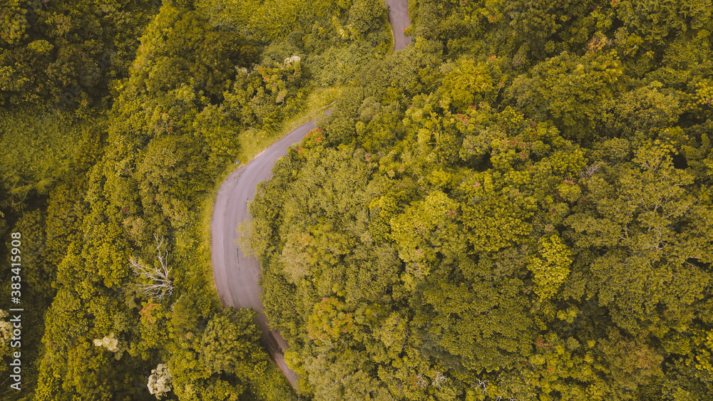 Aerial road in the forest, Oahu, Hawaii Aerial road in the forest, Oahu, Hawaii