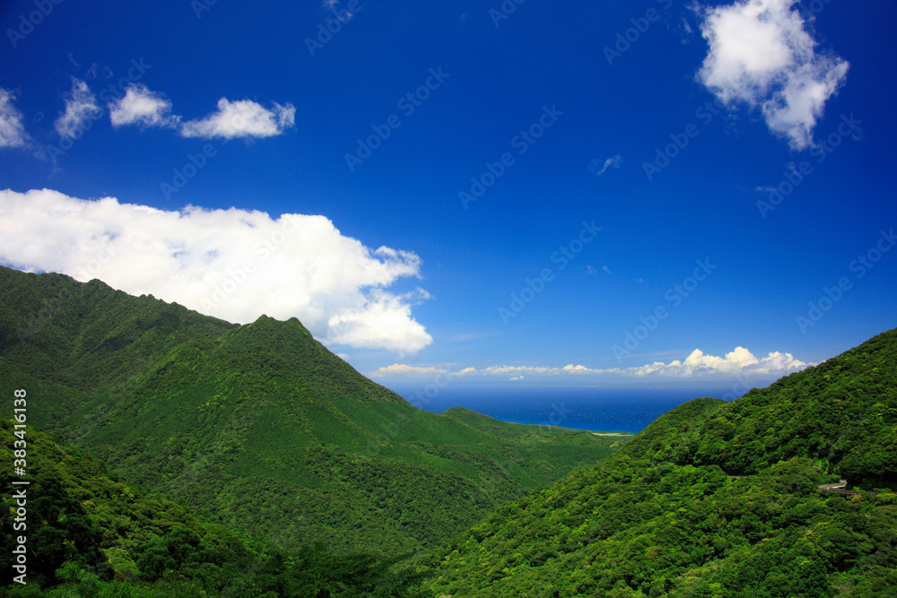 Fototapeta premium 屋久島の海と山