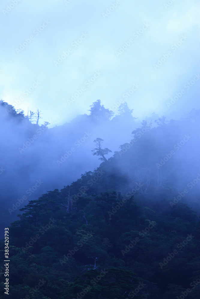 霧にかすむ山並み