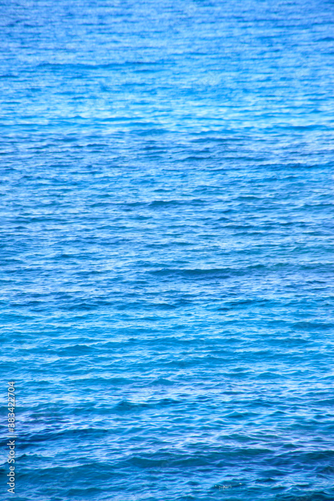 海 海