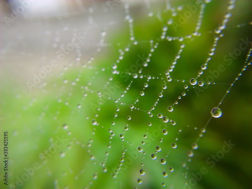 Defucused of dew on a spider web