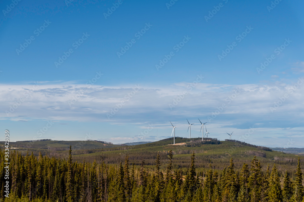 The view of the wind farms located on the hills covered with grass and trees.