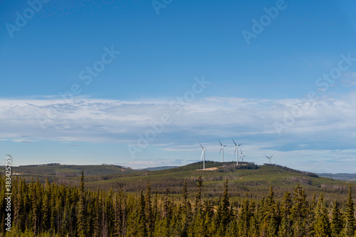 Obraz na płótnie The view of the wind farms located on the hills covered with grass and trees. w salonie