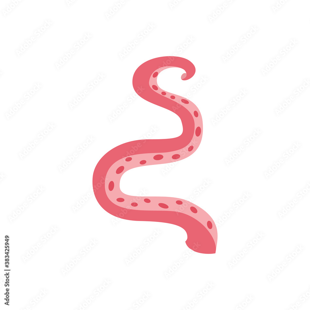 Serpentine tentacle of sea octopus or squid, flat vector illustration isolated. Serpentine tentacle of sea octopus or squid, flat vector illustration isolated.