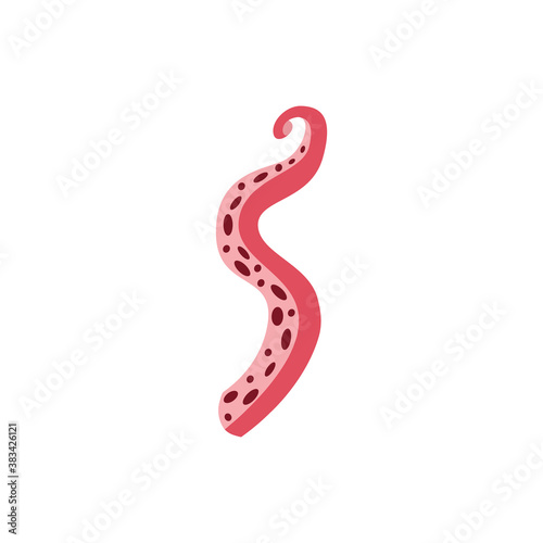 Wallpaper Mural Curled pink octopus tentacle with wavy shape - sea animal body part Torontodigital.ca