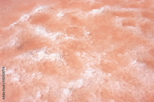 Cristallized salt of pink salt lake photo