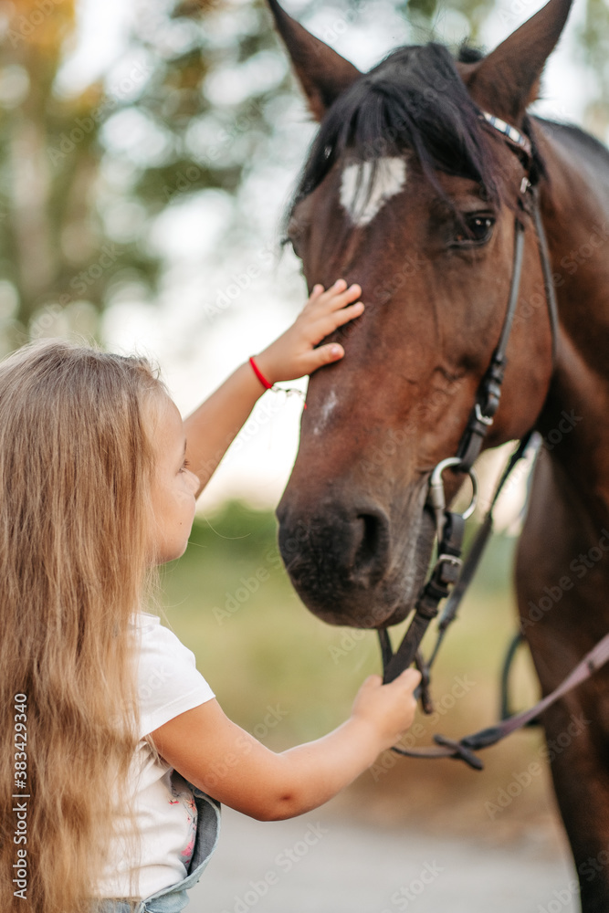 Obraz premium Friendship of a child with a horse. A little girl is affectionately stroking her horse. Walking girls with a horse in the park in autumn.