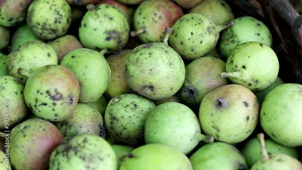 Many pears lie in the basket, background. The concept of a tasty and healthy fruit, vegetarian Many pears lie in the basket, background. The concept of a tasty and healthy fruit, vegetarian