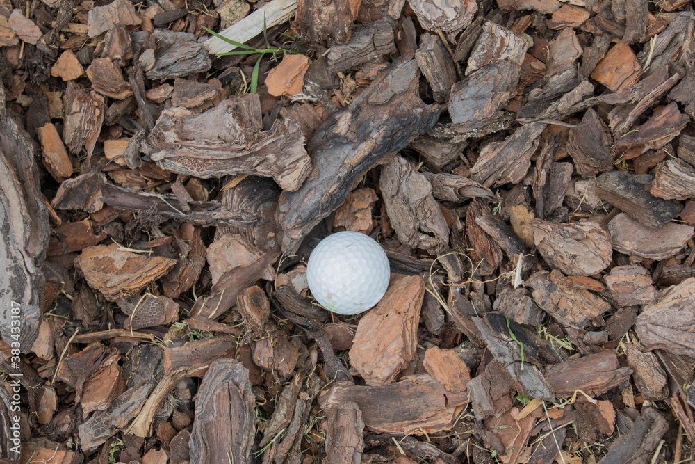 A golf ball isolated in a rough patch A golf ball isolated in a rough patch