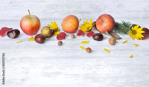 red apples, brown, yellow flowers with leaves in autumnal still life on white...