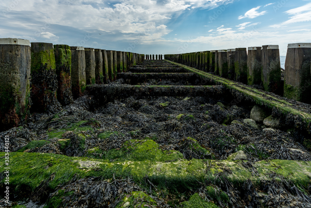 Old wooden jetty covered in algae