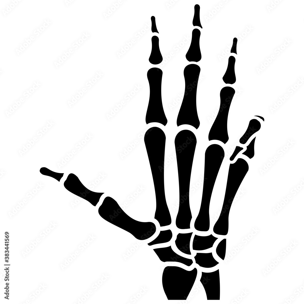 Fototapeta premium A skeleton hand is making number three, counting