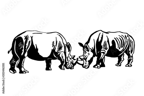 Graphical two rhinos  isolated on white  vector illustration